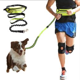 Newest Reflective Pet Leash Elastic Hand Free Jogging Dog Traction Rope Running Waist Pack Leashes Loop Retractable D-Ring Leash